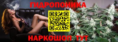 прущие крисы Будённовск